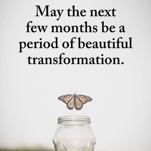 Meet your Posher, Carey